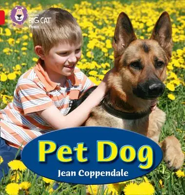 Chien de compagnie - Pet Dog