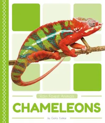 Caméléons - Chameleons