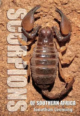 Scorpions d'Afrique du Sud - Scorpions of South Africa