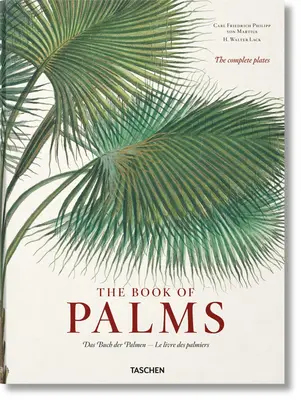 Martius, le livre des palmiers - Martius. the Book of Palms