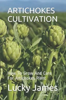 Culture des artichauts : Comment cultiver et soigner les artichauts - Artichokes Cultivation: How To Grow And Care For Artichokes Plant