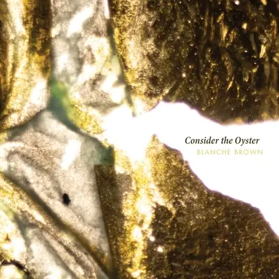 Considérer l'huître - Consider the Oyster