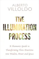 Processus d'illumination - Un guide chamanique pour transformer les émotions toxiques en sagesse, pouvoir et grâce - Illumination Process - A Shamanic Guide to Transforming Toxic Emotions into Wisdom, Power, and Grace