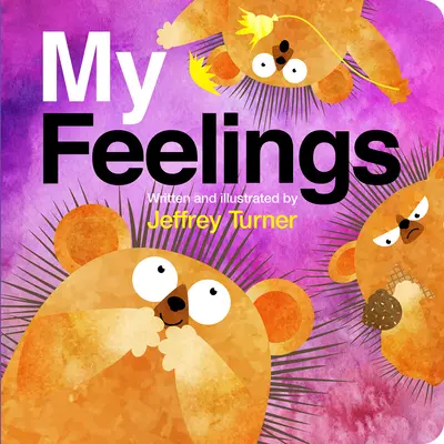 Livre d'images Mes sentiments - Picture Board Book My Feelings