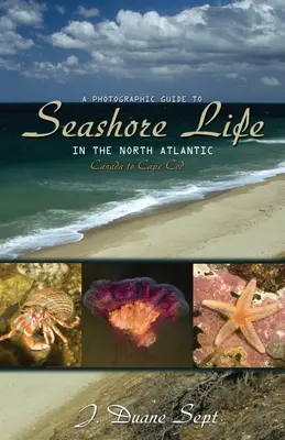 Guide photographique de la vie au bord de la mer dans l'Atlantique Nord : Du Canada à Cape Cod - A Photographic Guide to Seashore Life in the North Atlantic: Canada to Cape Cod