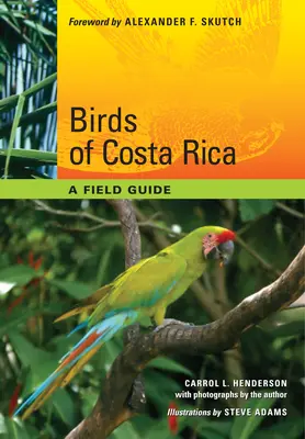 Oiseaux du Costa Rica : Guide de terrain - Birds of Costa Rica: A Field Guide