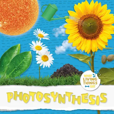 Photosynthèse - Photosynthesis