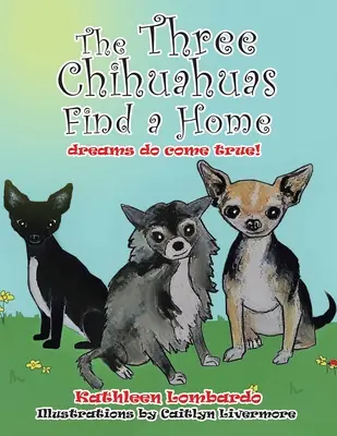 Les trois chihuahuas trouvent un foyer - The Three Chihuahuas Find a Home