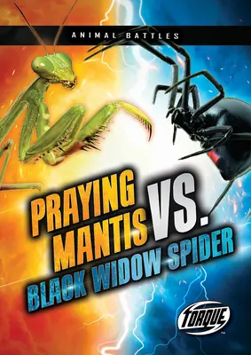 Mante religieuse vs. araignée veuve noire - Praying Mantis vs. Black Widow Spider