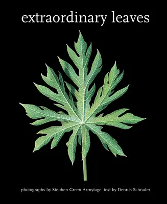 Feuilles extraordinaires - Extraordinary Leaves