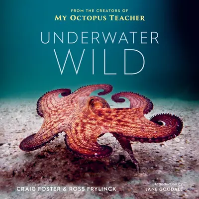 Underwater Wild : Le monde extraordinaire de mon professeur pieuvre - Underwater Wild: My Octopus Teacher's Extraordinary World