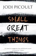 Small Great Things - Le roman à succès à ne pas manquer - Small Great Things - The bestselling novel you won't want to miss