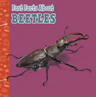 Faits marquants sur les coléoptères - Fast Facts About Beetles