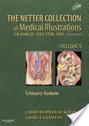 Collection Netter d'illustrations médicales : Système urinaire, 5 : Volume 5 - The Netter Collection of Medical Illustrations: Urinary System, 5: Volume 5