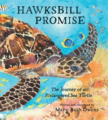 La promesse de l'épervier : le voyage d'une tortue de mer menacée d'extinction - Hawksbill Promise: The Journey of an Endangered Sea Turtle