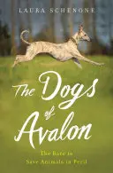 Les chiens d'Avalon : La course pour sauver les animaux en péril - The Dogs of Avalon: The Race to Save Animals in Peril