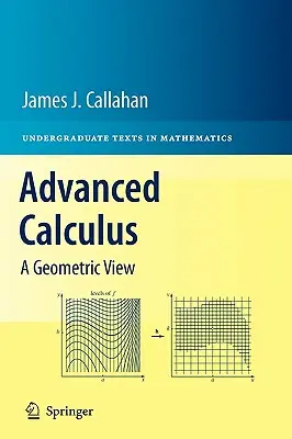 Calculs avancés : Une vue géométrique - Advanced Calculus: A Geometric View