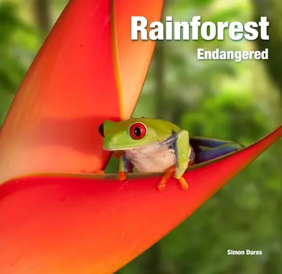 La forêt tropicale : En danger - Rainforest: Endangered