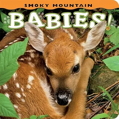 Les bébés des Smoky Mountain ! - Smoky Mountain Babies!