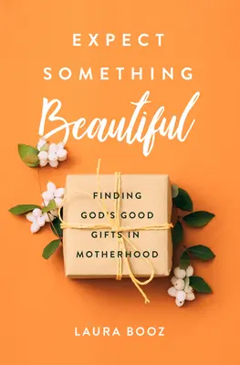 S'attendre à quelque chose de beau : Trouver les bons cadeaux de Dieu dans la maternité - Expect Something Beautiful: Finding God's Good Gifts in Motherhood