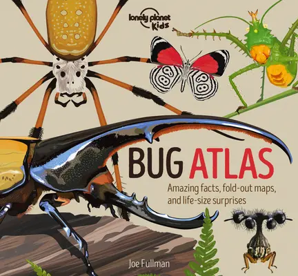 Atlas des insectes 1 - Bug Atlas 1