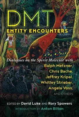 Rencontres d'entités Dmt : Dialogues sur la molécule de l'esprit avec Ralph Metzner, Chris Bache, Jeffrey Kripal, Whitley Strieber, Angela Voss, et O - Dmt Entity Encounters: Dialogues on the Spirit Molecule with Ralph Metzner, Chris Bache, Jeffrey Kripal, Whitley Strieber, Angela Voss, and O