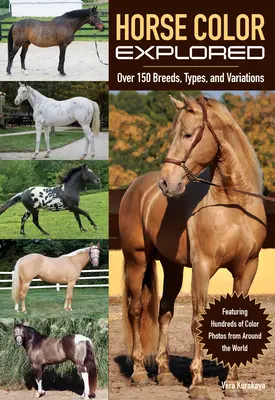 La couleur des chevaux explorée : Plus de 150 races, types et variations - Horse Color Explored: Over 150 Breeds, Types, and Variations