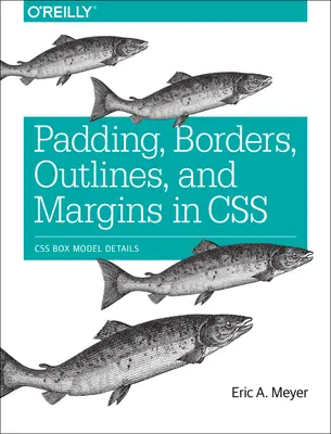 Rembourrage, bordures, contours et marges en CSS : Détails du modèle de boîte CSS - Padding, Borders, Outlines, and Margins in CSS: CSS Box Model Details