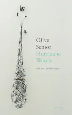 Hurricane Watch - Nouveaux poèmes et recueils de poèmes - Hurricane Watch - New and Collected Poems