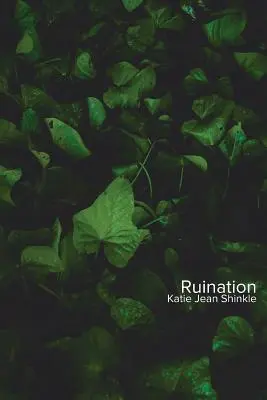 La ruine - Ruination