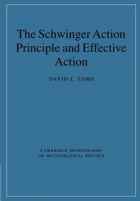 Le principe d'action de Schwinger et l'action efficace - The Schwinger Action Principle and Effective Action