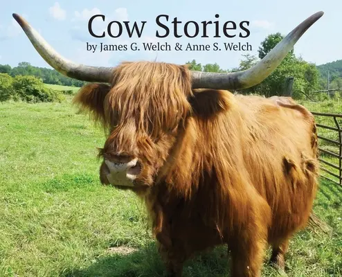 Histoires de vaches - Cow Stories