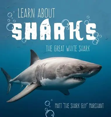 En savoir plus sur les requins : Le grand requin blanc - Learn About Sharks: The Great White Shark