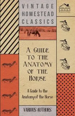 Guide de l'anatomie du cheval - Une collection d'articles historiques sur le squelette, les sabots, les dents, la locomotion et d'autres aspects de l'anatomie équine. - A Guide to the Anatomy of the Horse - A Collection of Historical Articles on the Skeleton, Hoof, Teeth, Locomotion and Other Aspects of Equine Anato