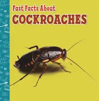 Les cafards en un clin d'œil - Fast Facts About Cockroaches