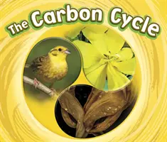 Le cycle du carbone - Carbon Cycle