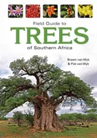 Guide des arbres d'Afrique australe - Field Guide to Trees of Southern Africa