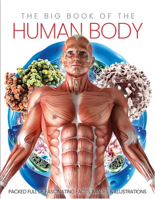 Le grand livre du corps humain - The Big Book of the Human Body