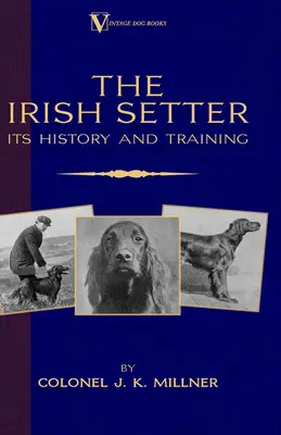 Le Setter irlandais - son histoire et son dressage (un classique de la race chez Vintage Dog Books) - The Irish Setter - Its History & Training (A Vintage Dog Books Breed Classic)