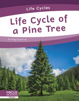 Cycle de vie d'un pin - Life Cycle of a Pine Tree