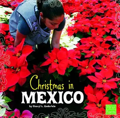 Noël au Mexique - Christmas in Mexico