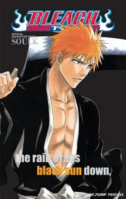 Bleach : Souls. Livre officiel des personnages [Avec autocollants] - Bleach: Souls. Official Character Book [With Stickers]