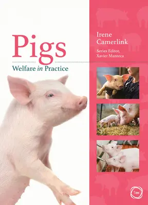 Le bien-être des porcs en pratique - Pigs Welfare in Practice