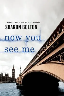 Maintenant tu me vois : un roman de Lacey Flint - Now You See Me: A Lacey Flint Novel