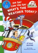 Oh Say Can You Say What's the Weather Today (Oh dis-tu peux-tu dire le temps qu'il fait aujourd'hui) - Oh Say Can You Say What's The Weather Today