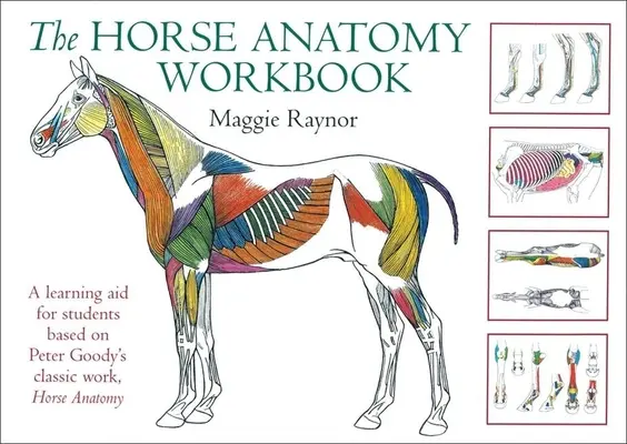 Le manuel d'anatomie du cheval : Une aide à l'apprentissage pour les étudiants basée sur l'ouvrage classique de Peter Goody, Horse Anatomy (Anatomie du cheval) - The Horse Anatomy Workbook: A Learning Aid for Students Based on Peter Goody's Classic Work, Horse Anatomy