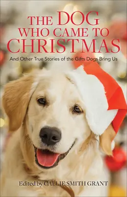 Le chien qui vint à Noël : Et d'autres histoires vraies sur les cadeaux que les chiens nous apportent - The Dog Who Came to Christmas: And Other True Stories of the Gifts Dogs Bring Us