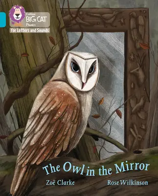 Le hibou dans le miroir - Groupe 07/Turquoise - Owl in the Mirror - Band 07/Turquoise