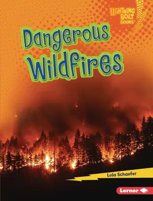 Dangereux incendies de forêt - Dangerous Wildfires