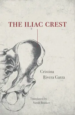 La crête iliaque - The Iliac Crest